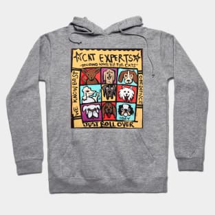 Cat Experts Hoodie